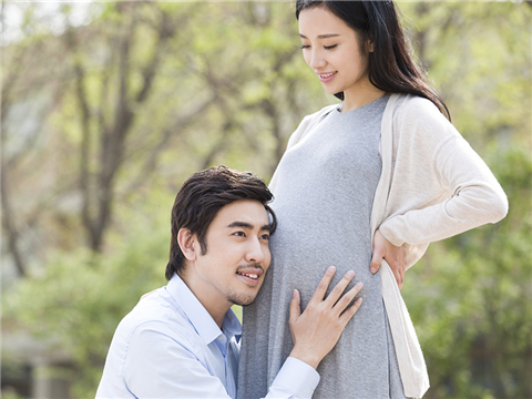 孕期职工伪造休假证明，单位因制度完善合法解雇