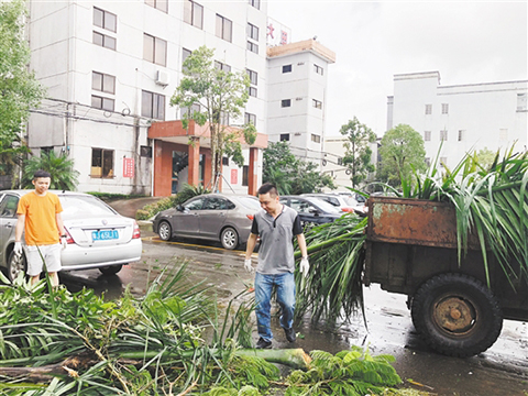 广东：因台风遭受损失可享减征个税优惠